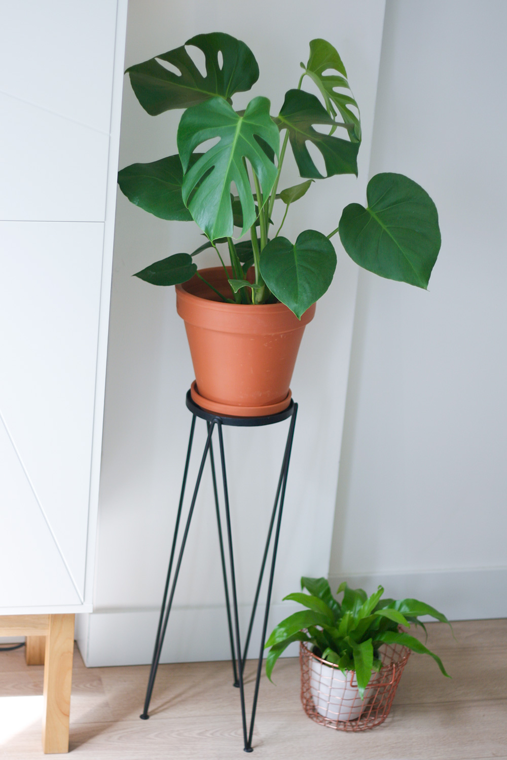 seletti-neon-letters-fonq-urban-jungle-monstera-2