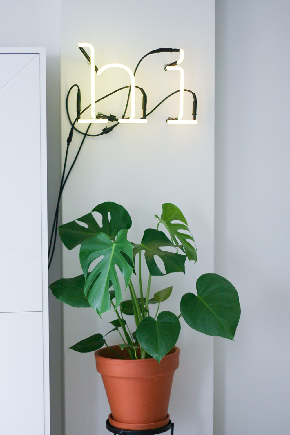 seletti-neon-letters-fonq-urban-jungle-monstera-4